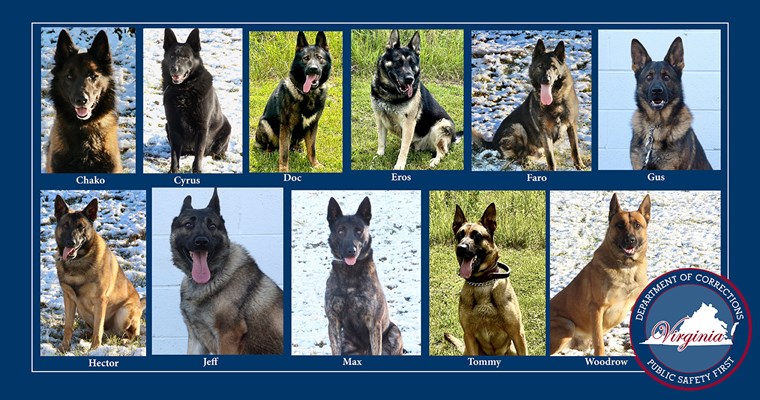 VADOC K9s የሰውነት ትጥቅ ልገሳ መቀበል
